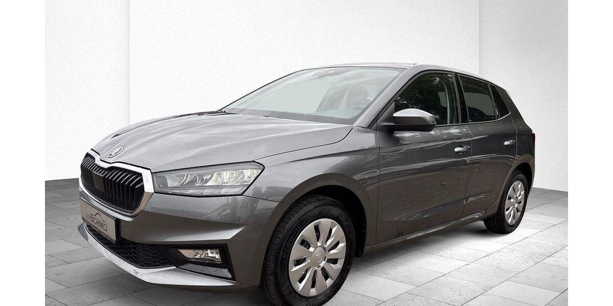 Skoda Fabia 8.194 km 16.580 &euro; Geislingen 73312