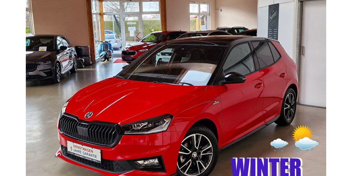 Skoda Fabia 10.000 km 21.890 &euro; Ichenhausen 89335