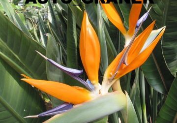 Fiat 500C 69.000 km 6.680 &euro; Neu-Ulm 89231