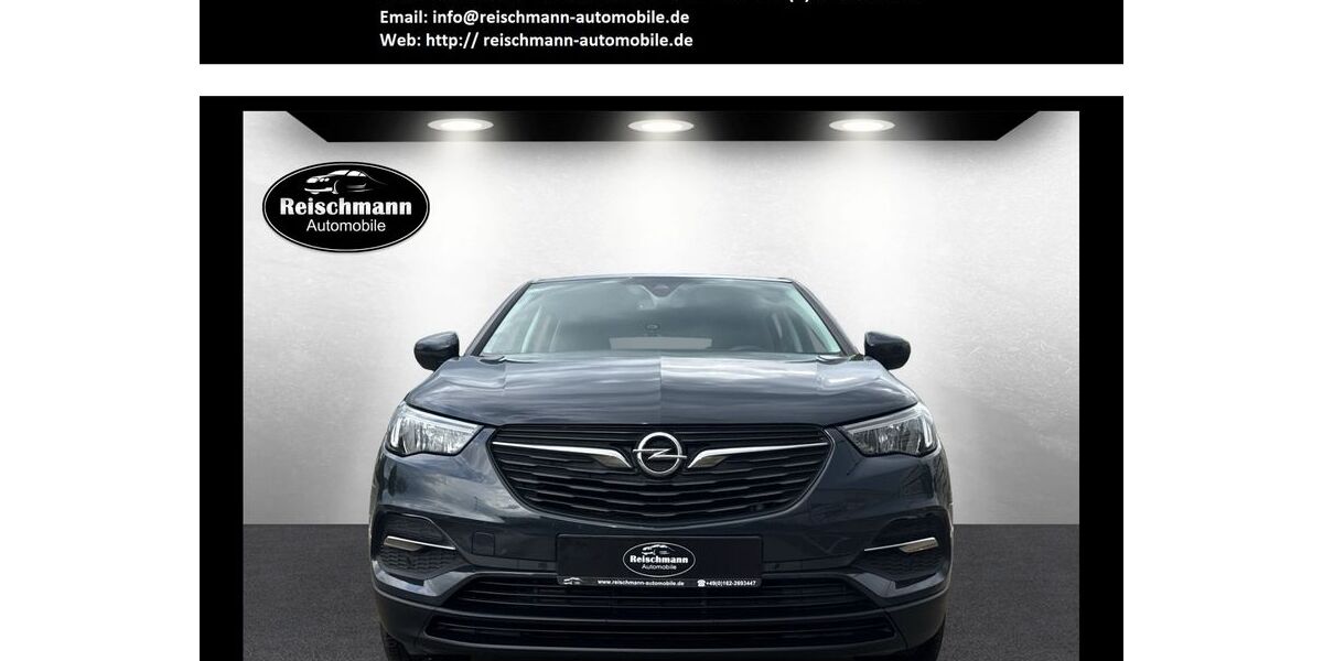 Opel Grandland (X) 168.186 km 8.499 &euro; Dietenheim 89165
