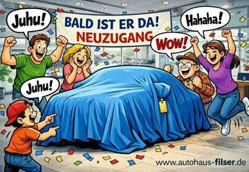 Mercedes-Benz C 220 81.617 km 28.986 &euro; Laupheim 88471