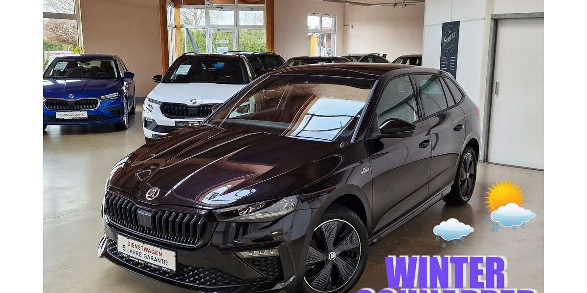 Skoda Scala 20.000 km 24.690 &euro; Ichenhausen 89335