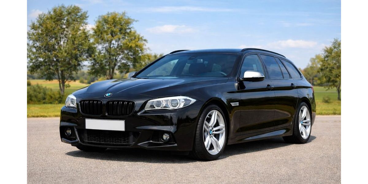 BMW M550 177.000 km 20.499 &euro; Rottenacker 89616