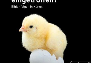 Mercedes-Benz C 300 102.655 km 34.970 &euro; Neu-Ulm 89231