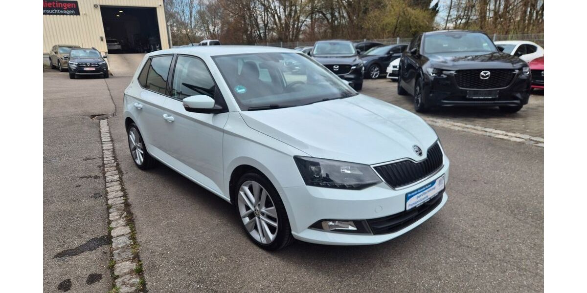 Skoda Fabia 100.000 km 8.990 &euro; Mietingen 88487
